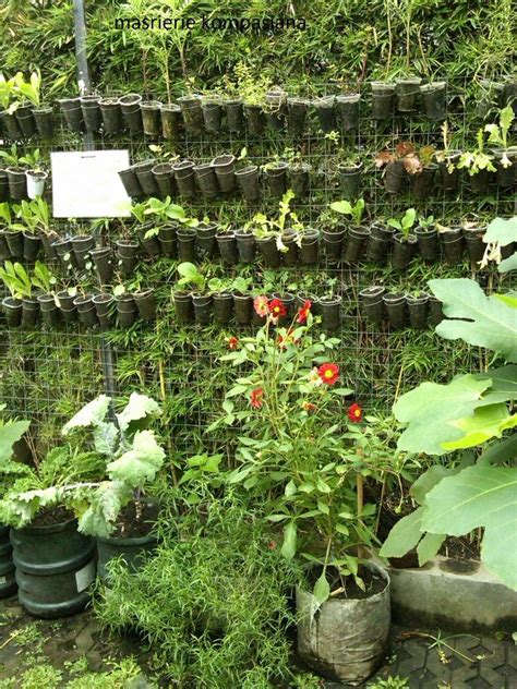 Tanaman dalam wadah dapat digunakan untuk menetapkan ruang yang dapat digunakan di dalam halaman. Cuci Mata dan Belajar Sehat di Kebun Sayuran Organik ...