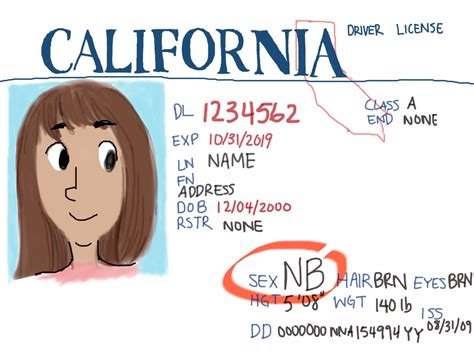 Don't refer to a nonbinary person as it, unless they use it as a pronoun, which some nonbinary people do. State bill to offer nonbinary gender option for identification documents | Daily Bruin