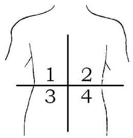 This slice however can be done at different angles with respect to the body. Diagram Of The 4 Quadrants Of The Abdomen - Aflam-Neeeak