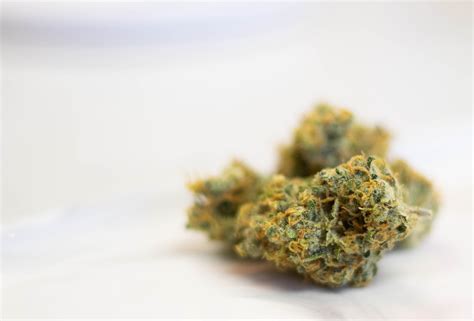 Demystifying Marijuana Genetics: A Deep Dive into Strains - CBD Merge