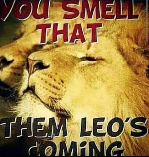 Leo Season Memes Leo Season Leo