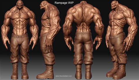 Attachmentphp 1137×659 Body Anatomy Animation Character Concept