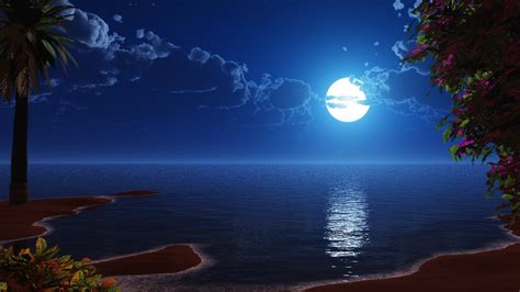 Sea Moonlight Beach Night Sky Fantasy Landscape Ocean Full Moon