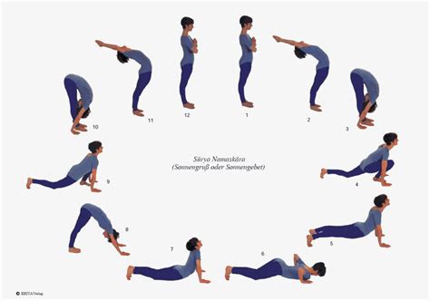 Wie Die Muskeln Unsere Asana Praxis Bewahren Yogalehrerausbildung
