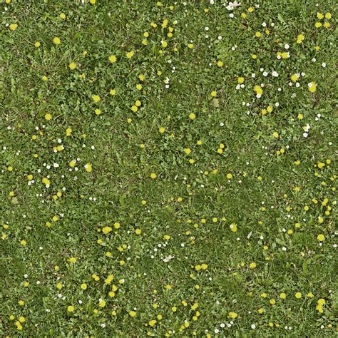 Seamless Grass Good Textures