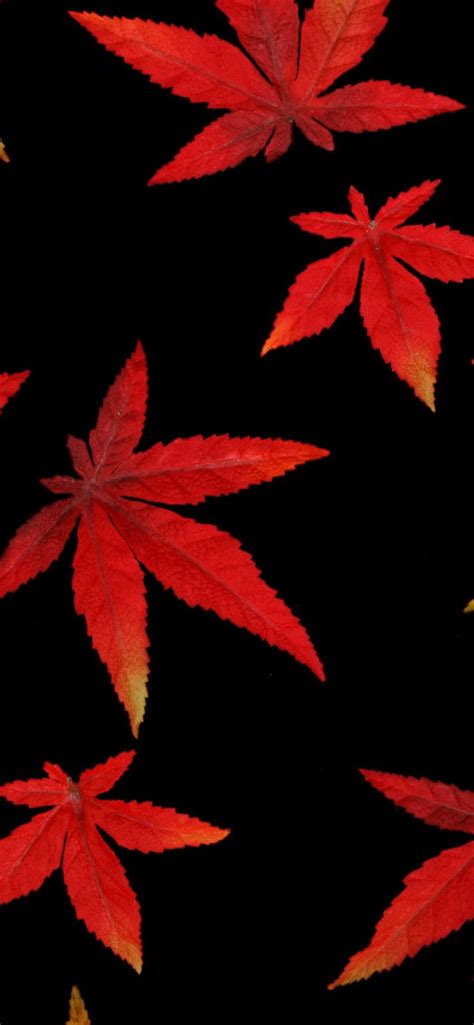 1125x2436 Autumn Leaves Abstract Wallpaper บทคัดย่อ วอลเปเปอร์