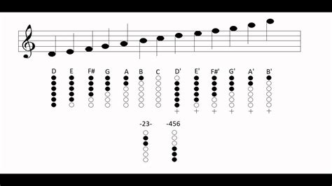 Tin Whistle Notes And Fingering Charts Youtube