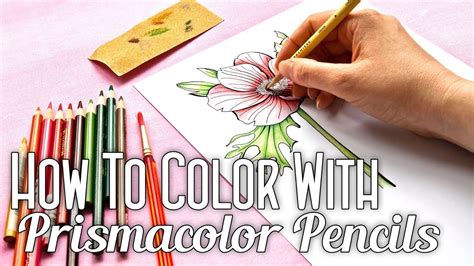 Color Pencil Art Tutorial Prismacolor
