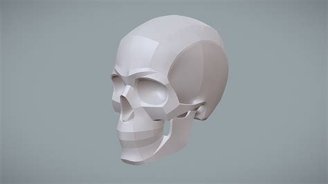 Shapes Of The Human Skull Buy Royalty Free 3d Model By Shape