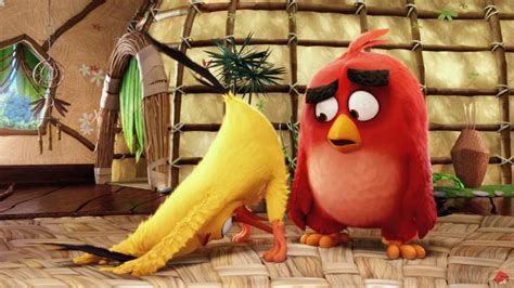 New Angry Birds Movie Trailer Out Gma News Online