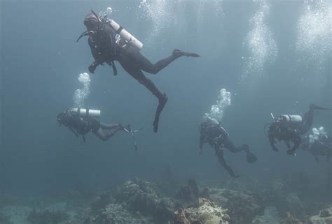 Exercise Tradewinds 19 Canadian Forces Clearance Divers Fr Flickr