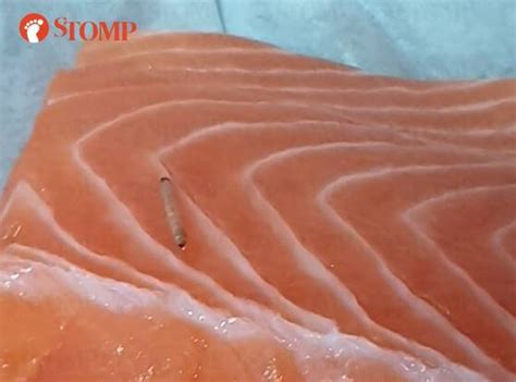 Ntuc Fairprice Apologises For Worm Found On Salmon Fillet No Anomalies