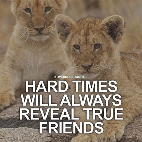 Hard Times Always Reveal True Friends Pictures Photos And Images For