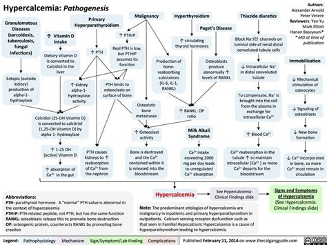Hypercalcemia Pathogenesis