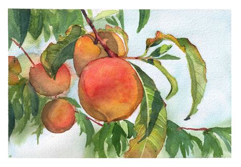 Peach Tree Watercolor Painting Wall Art Digital Download Etsy