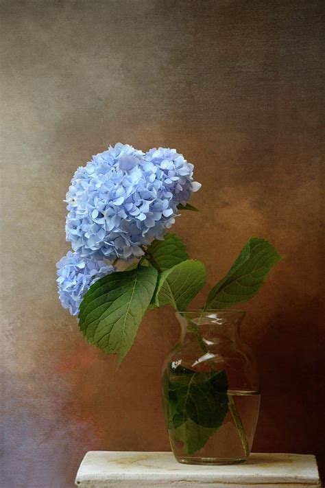 Blue Hydrangea In A Vase Painting By Jai Johnson