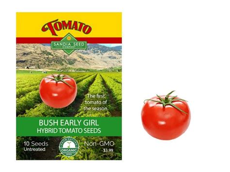 Tomato Bush Early Girl Hybrid Seeds Etsy