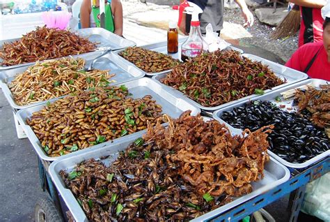 Edible Insects Rich Protein Packed Grub