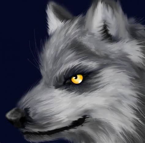 Wolf Picture By Kibaakamaru Drawingnow