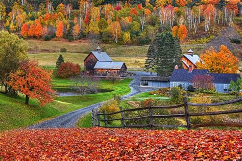 Sleepy Hollows Farm Woodstock Vermont Vt Autumn Bright Colors By Toby