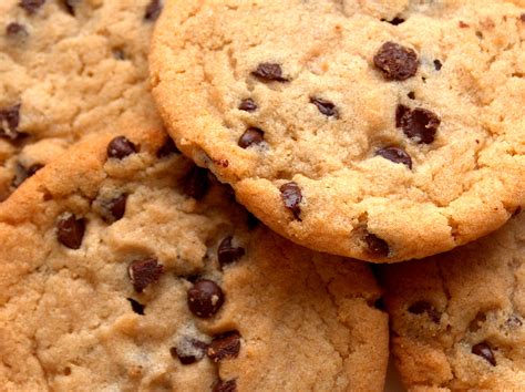 chocolate chip cookie recipe egg   dairy