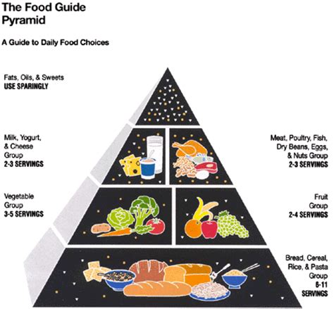 The old food pyramid recommended 6 to 11 servings of bread, rice, cereal or pasta. Your Health Online What is the Food Pyramid?