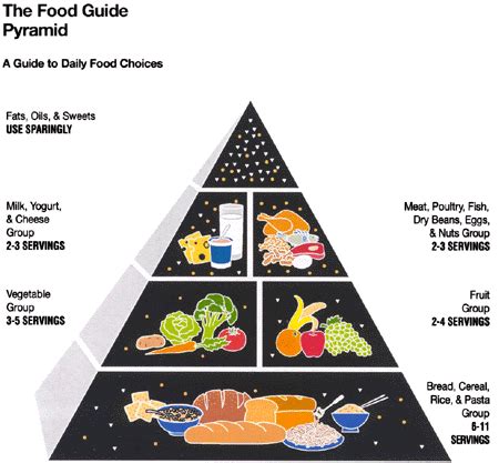 Suitable foods for a healthy diet what is the offi. Your Health Online What is the Food Pyramid?