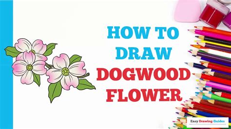 How To Draw Dogwood Flowers In A Few Easy Steps Drawing