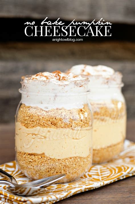 If you like pumpkin you gotta give this a try. Easy No Bake Pumpkin Cheesecake | A Night Owl Blog