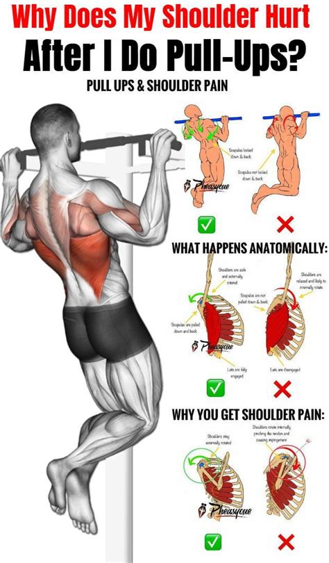 Try This Pull Up Routine For Optimal Muscle Gain Pull