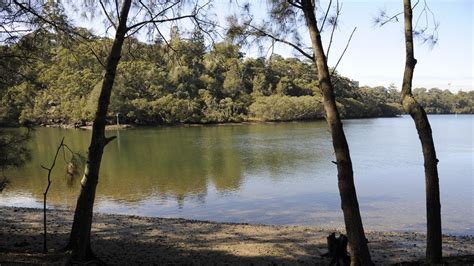 Lane Cove National Park Set To Expand Along M2 Motorway Daily Telegraph