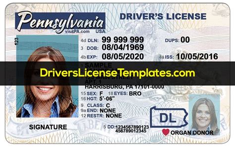 Pin On Drivers License Template Psd