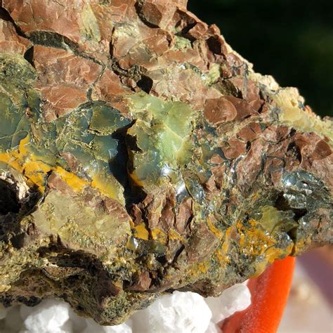 Lot 10 Of Oregon Opal In Rhyolite Jasper Mineral Display Specimens