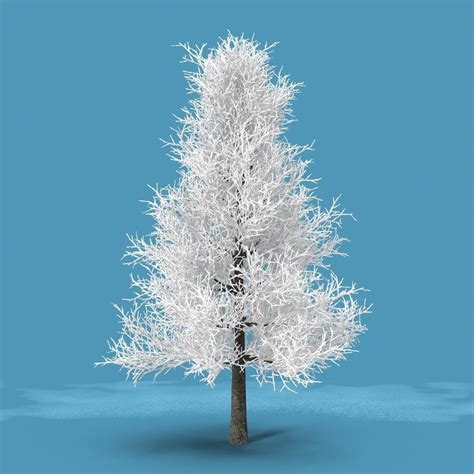 Snow Tree 3d Model Cgtrader