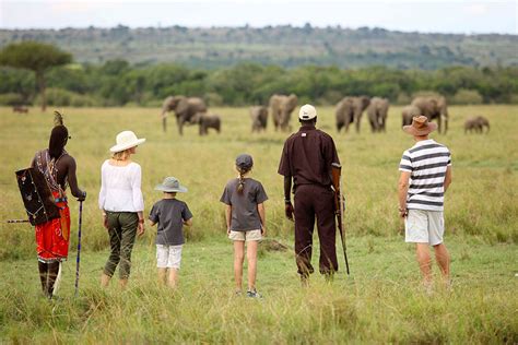 Luxury Great Migration Tour Kenya And Tanzania Package