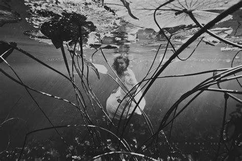 Ilse Moore Underwater Photography Underwater Photographer Fine Art