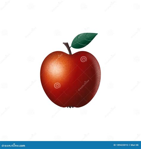 Realistic Red Apple With Texture Vector Illustration Isolated On White