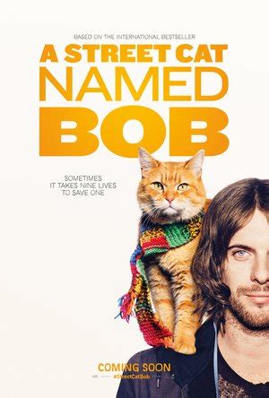 A street cat named bob is a 2016 british biographical drama film directed by roger spottiswoode and written by tim john and maria nation. A Street Cat Named Bob DVD Release Date May 9, 2017