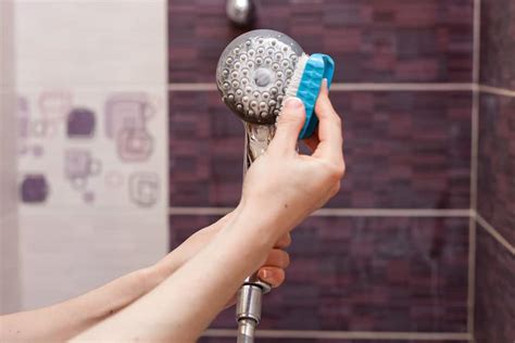 How To Clean A Shower Head 6 Easy Ways 2022