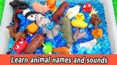 Learn Animal Names And Sounds Learn Colors With Animal Toysㅣcocoskids