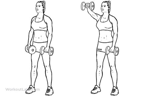 Forward Front Dumbbell Raise Illustrated Exercise Guide Workoutlabs