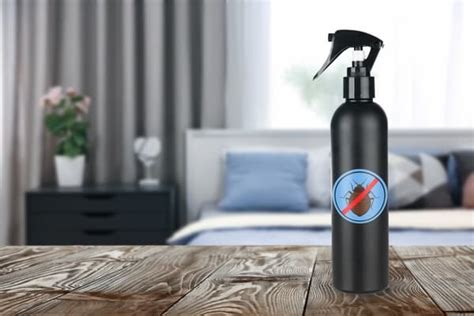 Bed bugs can get in your hair but the good news is that they really don't want to be there. Does Baking Soda and Vinegar Kill Bed Bugs? — Bed Bugs Insider