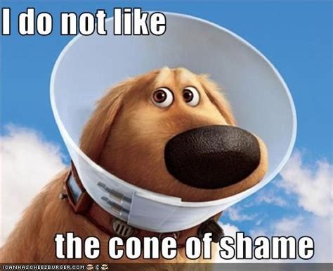 I Do Not Like The Cone Of Shame Talking Dog Dug The Dog Cone Of Shame