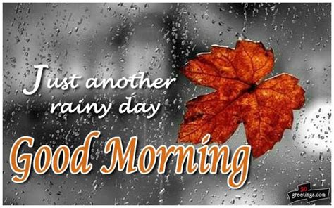 Just Another Rainy Day Good Morning Pictures Photos And Images For