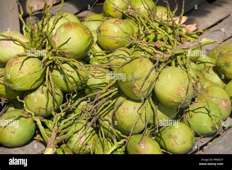 Thailand Pile Of Ripe Coconuts Hi Res Stock Photography And Images Alamy