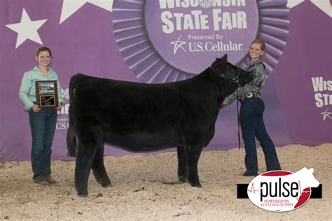 Wisconsin State Fair Aob Low Percentage Heifers Lautner Farms