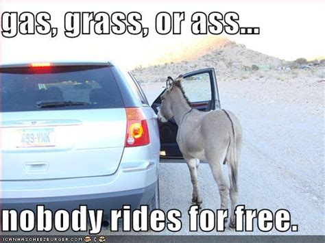 Gas Grass Or Ass Nobody Rides For Free Cheezburger Funny Memes Funny Pictures
