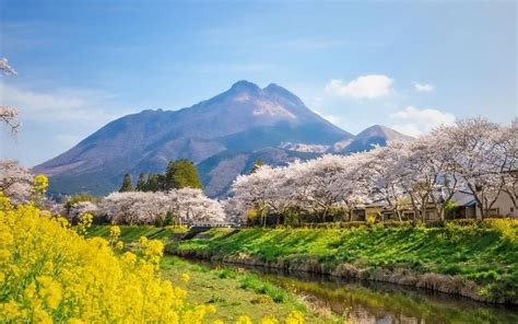 Things Every Traveler Should Know Before Visiting Japan Travel Paradiso