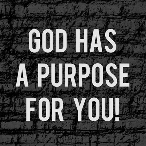 God Has A Purpose For You Quotes