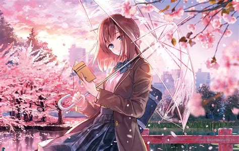 Download animated wallpaper, share & use by youself. Anime Girl Cherry Blossom Season 5k, HD Anime, 4k ...